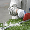 Shrub Pruning