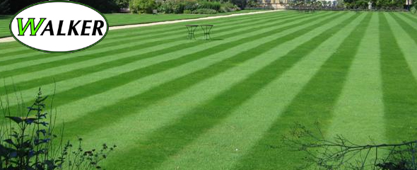 Weed Control and Fertilization