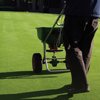 Weed Control and Fertilization
